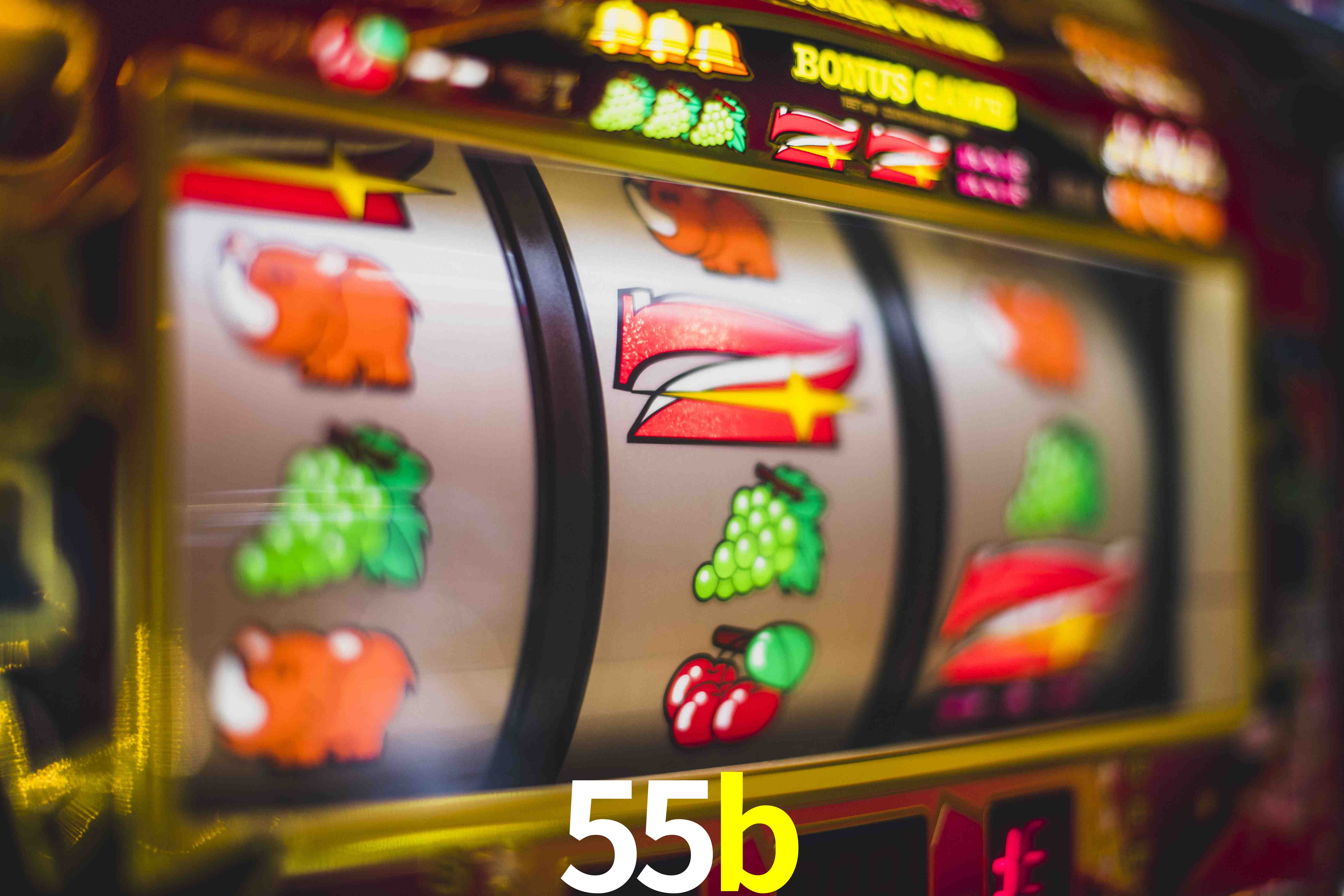 VIP Casino 55b