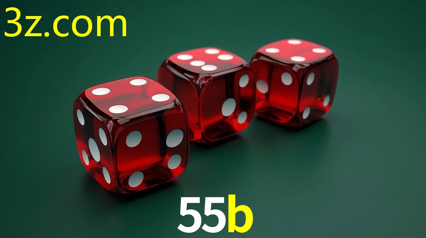 55B.COM