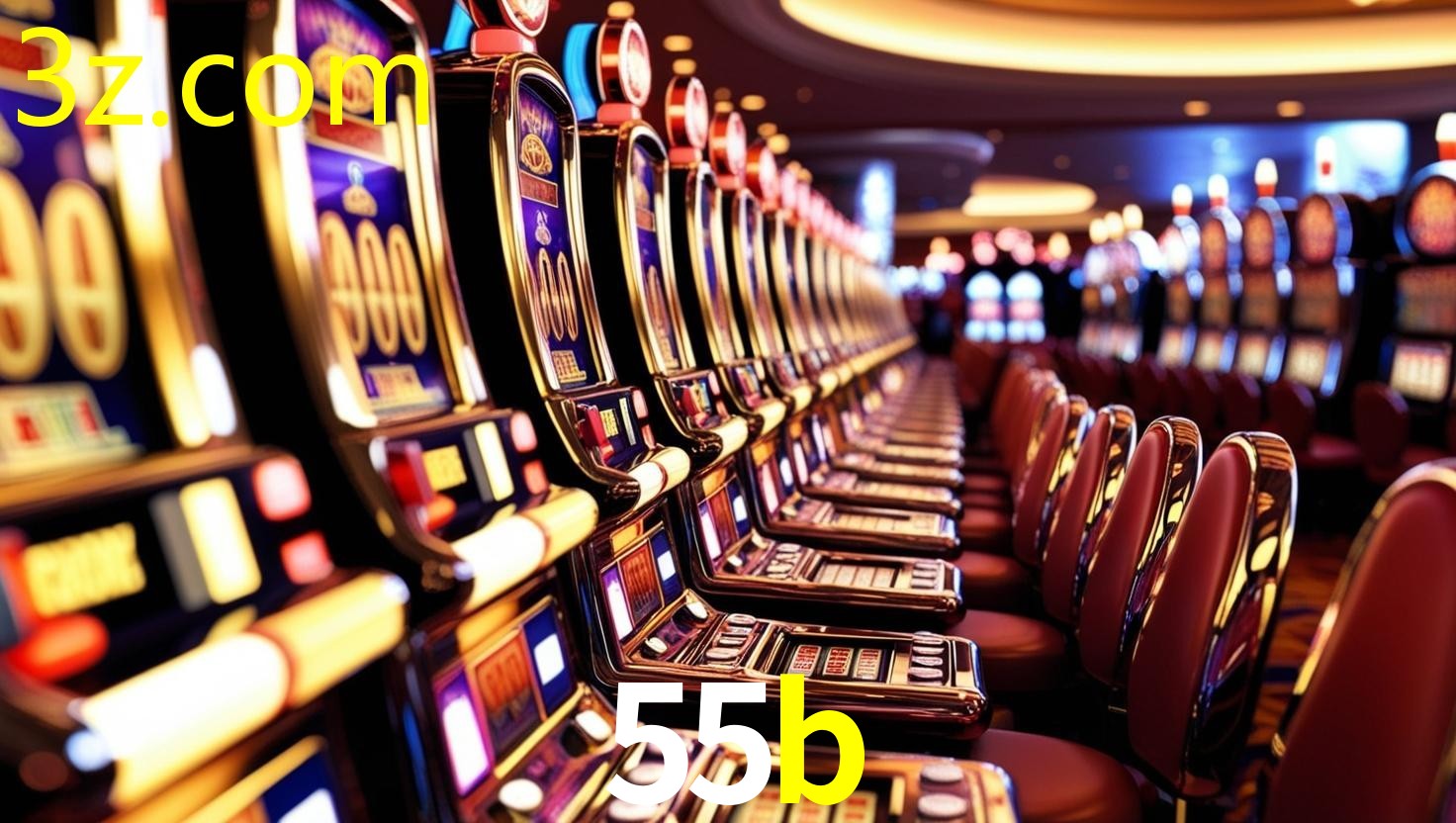 55B.COM