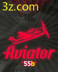55B.COM